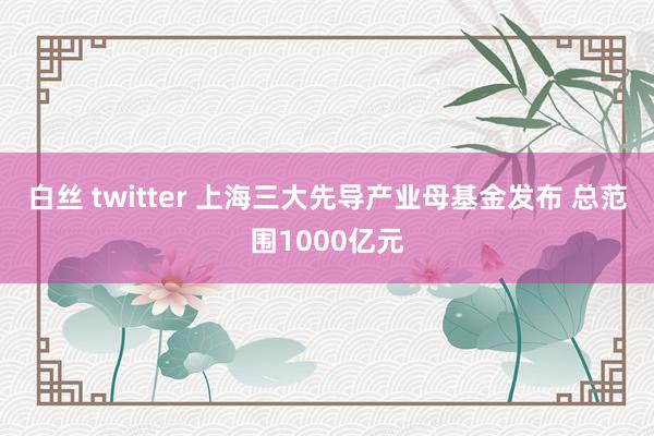 白丝 twitter 上海三大先导产业母基金发布 总范围1000亿元