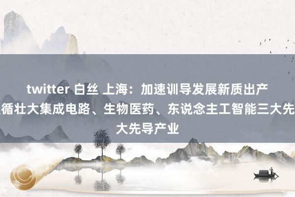 twitter 白丝 上海：加速训导发展新质出产力，遵循壮大集成电路、生物医药、东说念主工智能三大先导产业