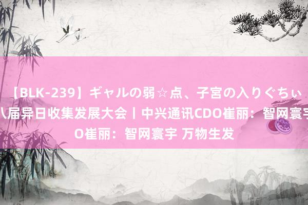 【BLK-239】ギャルの弱☆点、子宮の入りぐちぃ EMIRI 第八届异日收集发展大会丨中兴通讯CDO崔丽：智网寰宇 万物生发