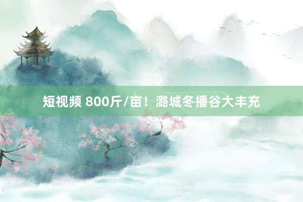 短视频 800斤/亩！潞城冬播谷大丰充